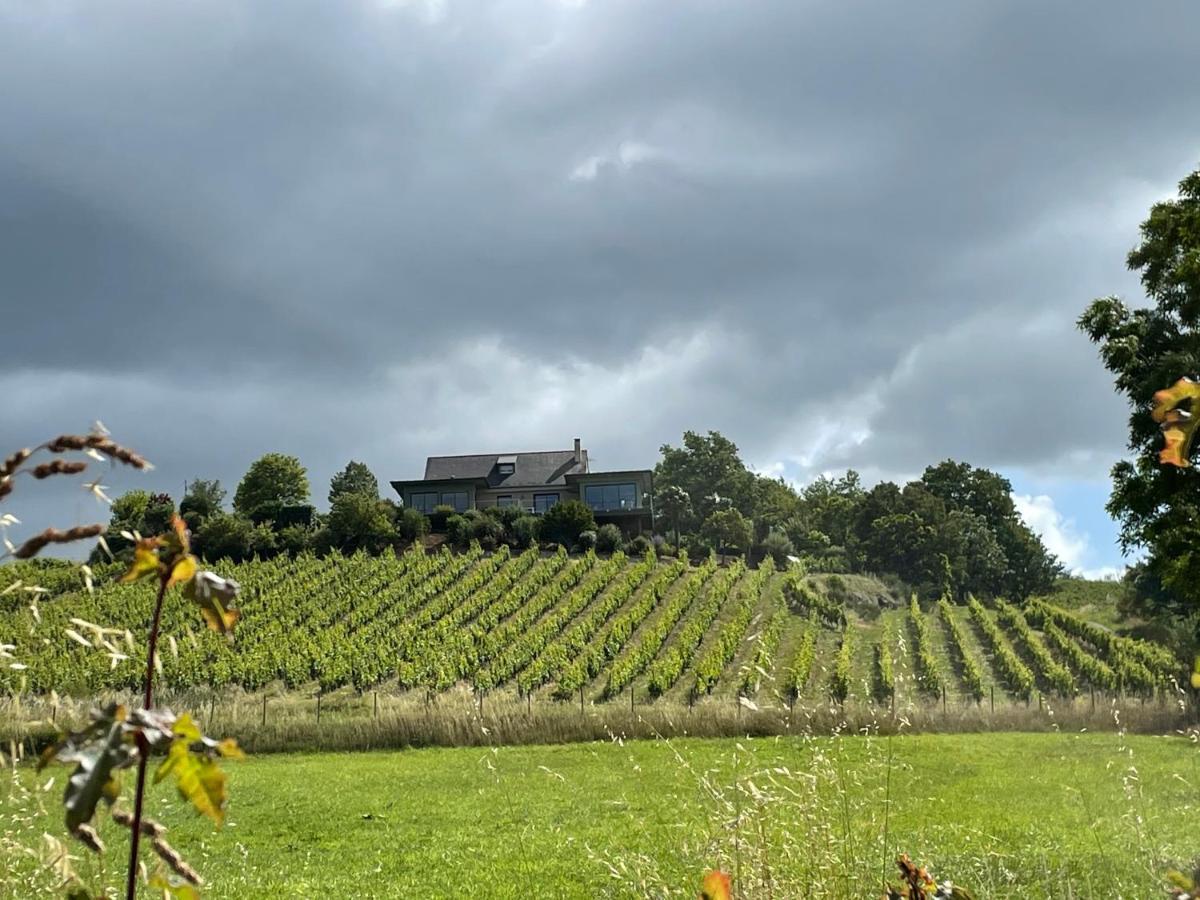Maison Des Coteaux Blancs Chaudefonds-sur-Layon Ngoại thất bức ảnh